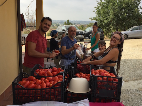 Foto durante la passata di pomodoro ESTATE 2017 a Ecovillaggio L'Asino e la Luna
